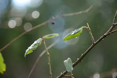 DSC_0889 (Large).JPG